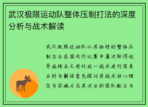 武汉极限运动队整体压制打法的深度分析与战术解读